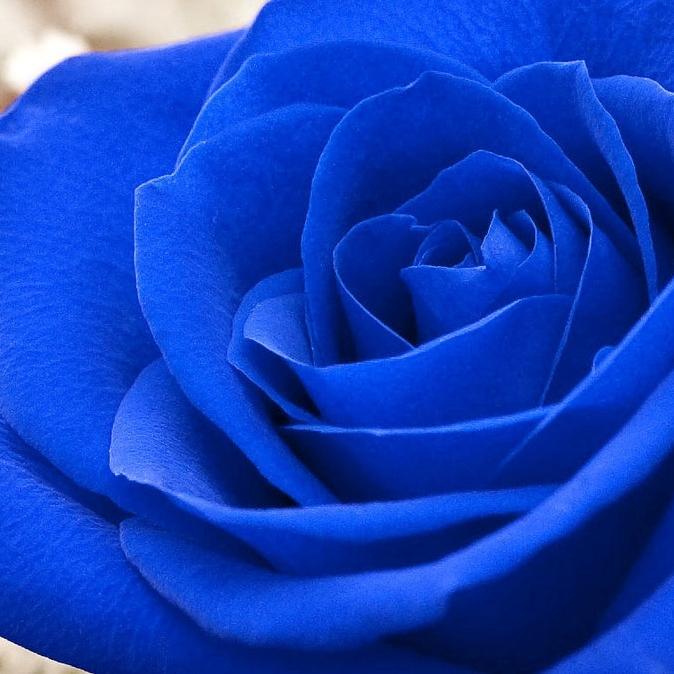 LivingAftStroke's profile picture. 