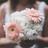 alavirulephoto's profile image