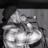 SeasonsCalling_'s profile image