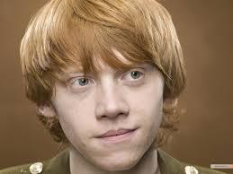 Hey I am Ron weasley bro to 1 sis and a lot of bros best friends are Harry and Hermione