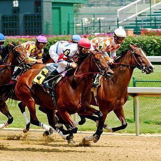 Información y pronóstico de hipismo norteamericano, deportes   y algo más.