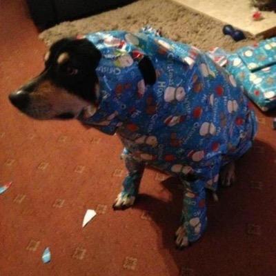 OGMOTHRFUKER's profile picture. bio