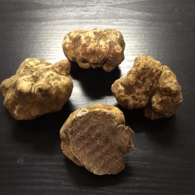 Toska Truffles is a Fresh Truffle Supplier founded in Charlotte, NC. We deliver only fresh, best quality truffles!