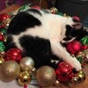 Laney Edwards - @LaneyEdwards4 - Twitter