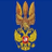 СБУ задержала корректировщика огня "ДНР" в районе Волновахи - Цензор.НЕТ 2716