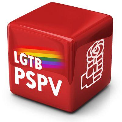 sustituye a @lgtbpspv. Twitter oficial de la secretaria lgtb de la provincia de Valencia.