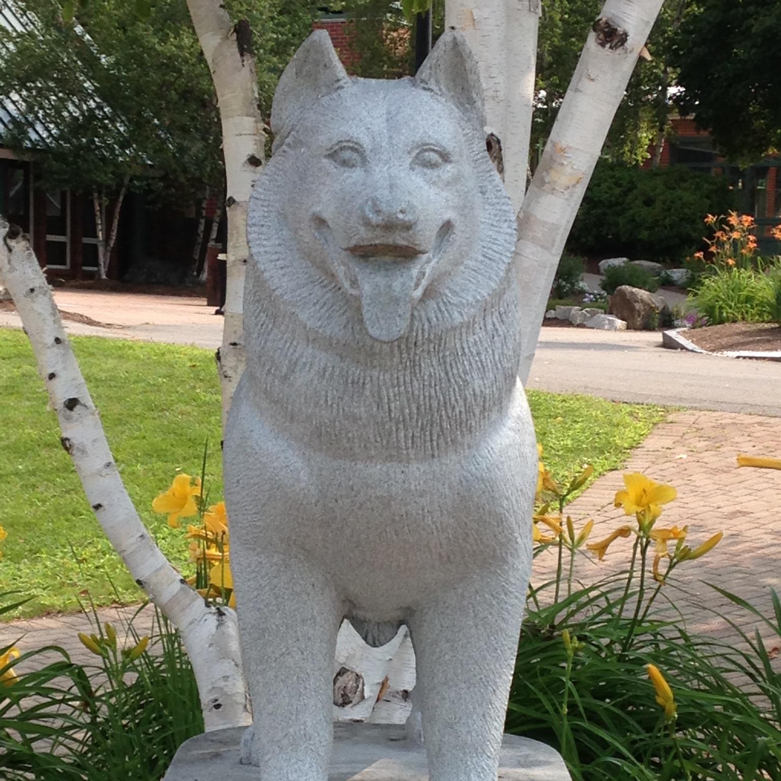 NHShuskyleaders's profile picture. 