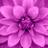 MCarterClass's profile image