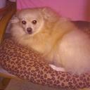 Lorena Landeros - @LanderosLorena - Twitter