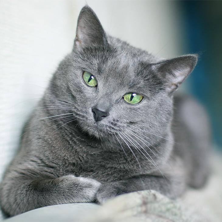 Oxford '20 psychphil, cat and tea enthusiast. accelerate everything.