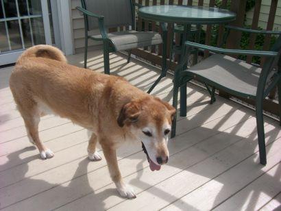 Tyler_Barnas's profile picture. 