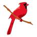 Cardinal Compliments (@cardpliments) Twitter profile photo