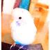 ぷかちん (@pukachin) Twitter profile photo