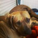 Patrick Jansen - @XanthusZan - Twitter