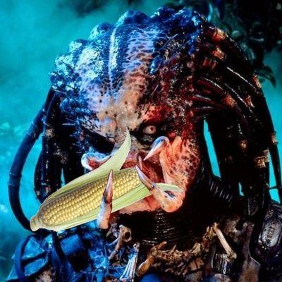 XavierThornton6's profile picture. 