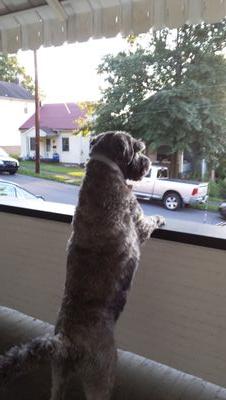 dl3_1964's profile picture. 