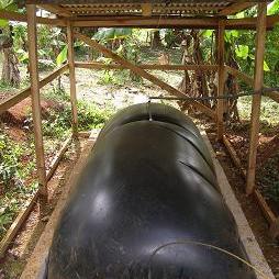 BDeguate's profile picture. 