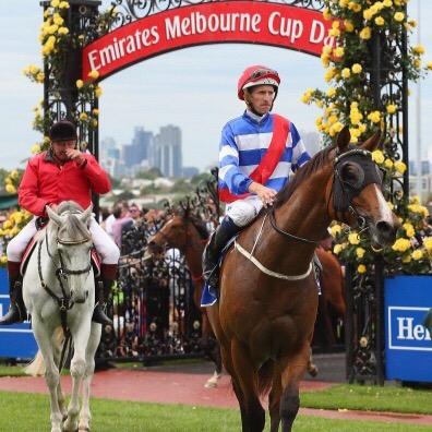 Former Jumps Jockey now Racehorse Trainer. 
Highlight: Breaking in Koonoomoo & winning 4 city races with her including Group 3 Melb Cup day & 2nd Gr 2 Tristarc.