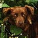 AJ Ivey - @shadowc100 - Twitter