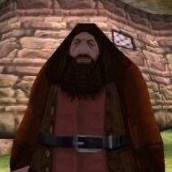 ps1 hagrid profile pic ps1 hagrid profile pic