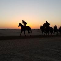 ernst oertel (@racinguae) 's Twitter Profile