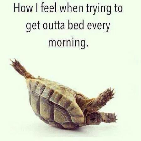 JerryRand's profile picture. Jerry Rand MD

* Frequently on A&E TV show INTERVENTION--Several shows regarding complicated Pain, Chemical Dependency and Dual Diagnoses.