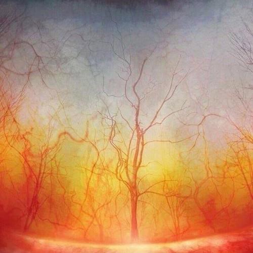 yesil_47's profile picture. 