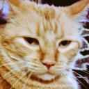 Carmen Brenner - @cbrenner56msnco - Twitter