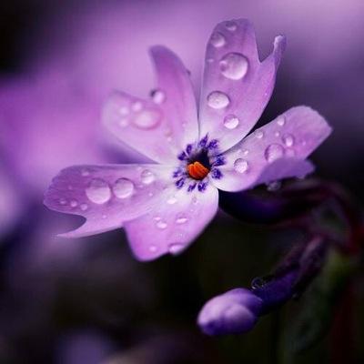 truckntweet's profile picture. 