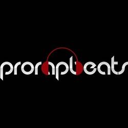 Founded to give musicians the tools & knowledge to make professional-caliber music, without having $1,000's in equipment.

Putting the soul back in hip-hop!