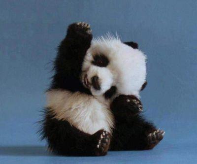 samuelpiazza23's profile picture. use code Rain