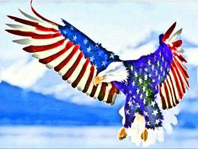 L1Miller's profile picture. 