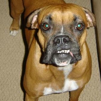 KAMSIII's profile picture. 