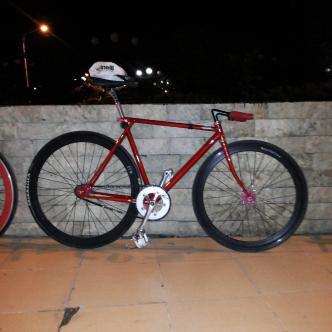 Palu Fixed Gear