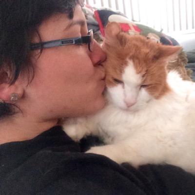 I like cats and @Rissado ❤️