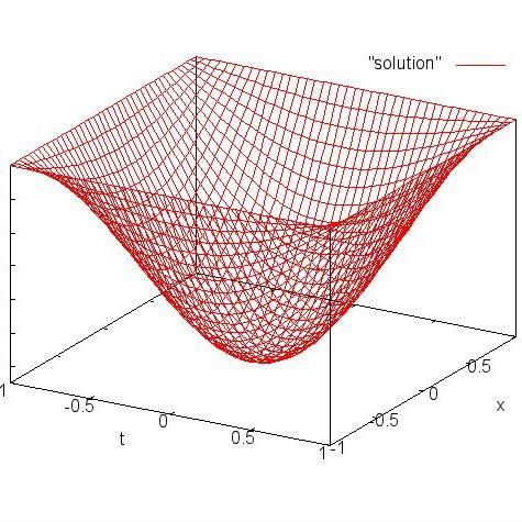 Partial Differential Equations Web Application