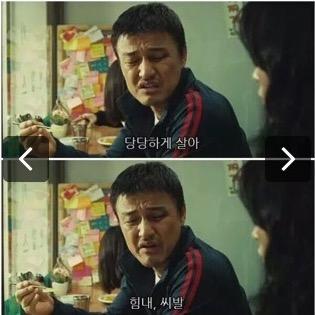 16.8cm,박카스
