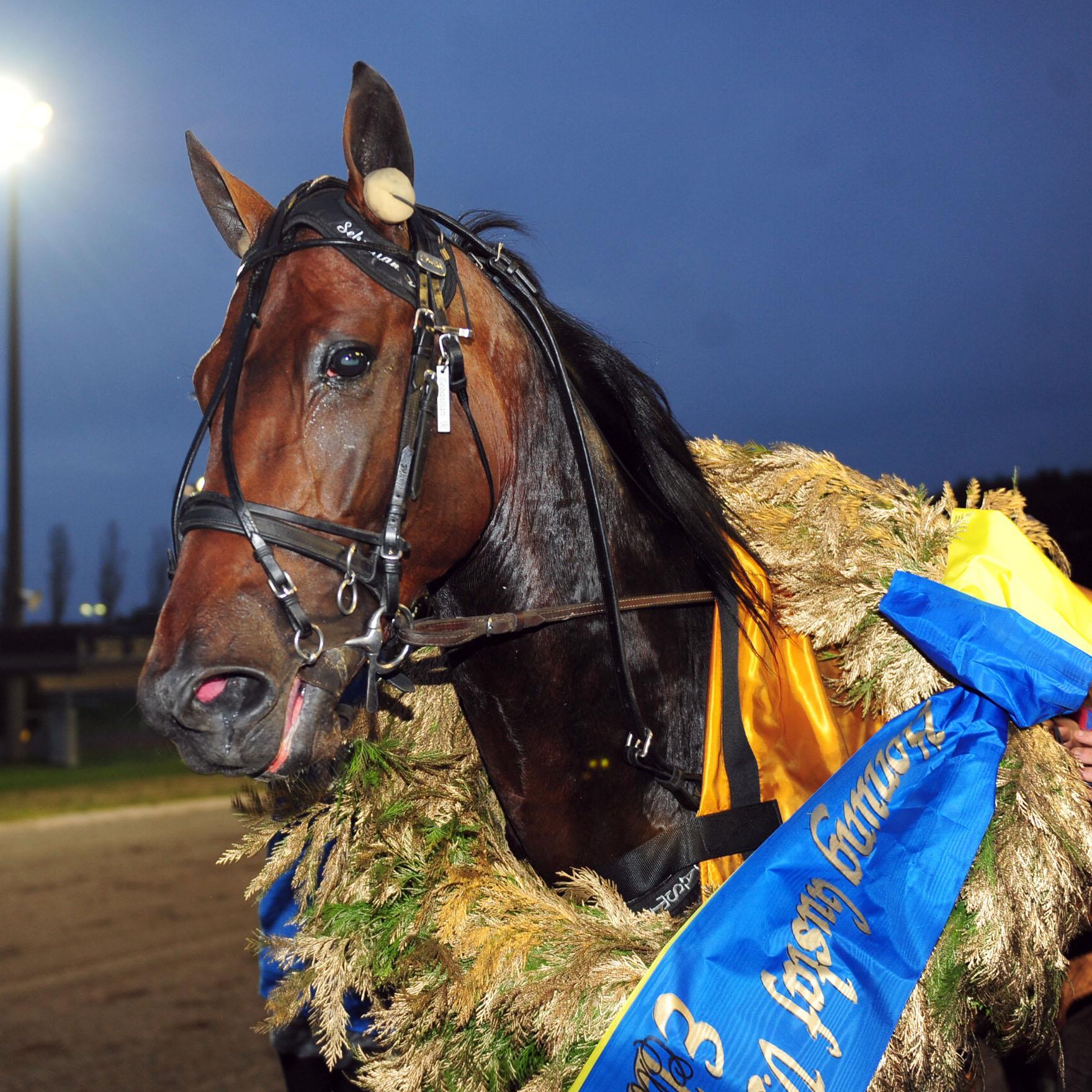 Breeding and racing Standardbreds around the world.