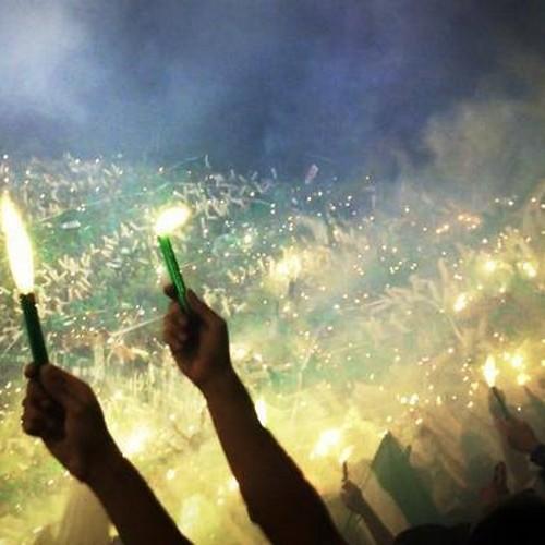 andre241194's profile picture. 