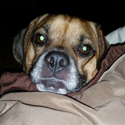 jfroggy2104's profile picture. 