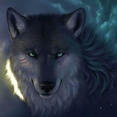 Male/19/Drawer/Wolf/Gamer