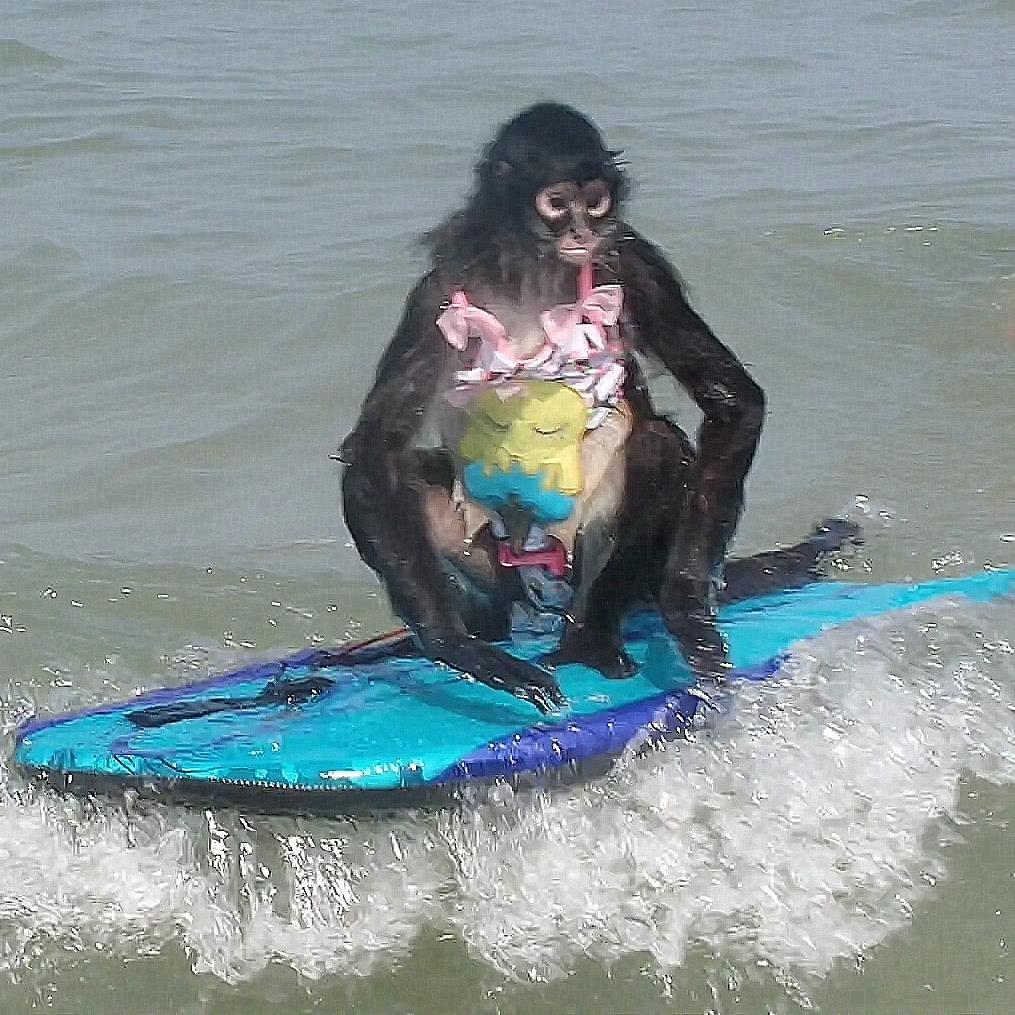 Spanky_Monkey_'s profile picture. https://t.co/huQwrjH1gX