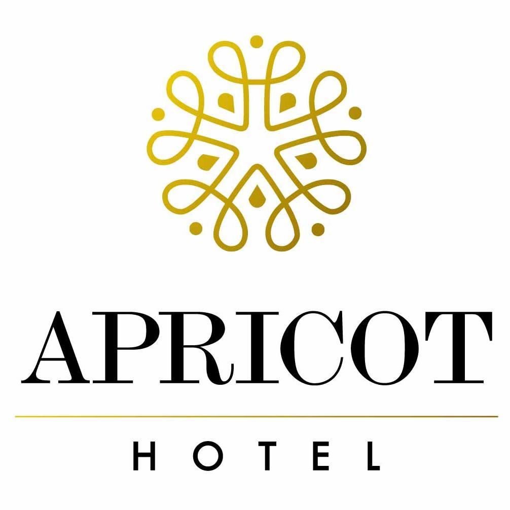 Apricot is the only 5-star luxurious hotel situated opposite Hoan Kiem lake. The hotel features masterpieces of fine arts and sculptures of Vietnamese artists.