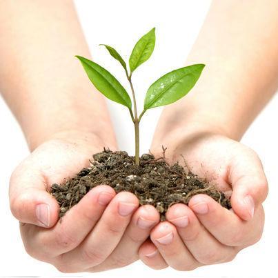 'Agro Products' embraces a broad all-inclusive category of products related to AGRICULTURE. It includes a comprehensive range of raw and finished goods.