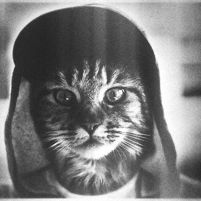 я гей
