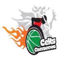 Caernarfon Celts WBC (@wbccelts) 's Twitter Profile