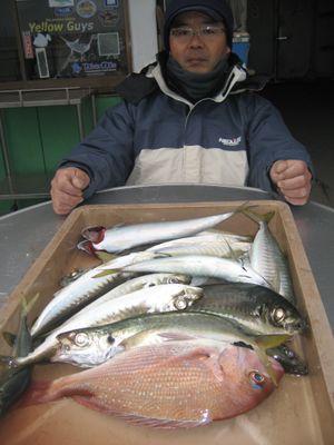 一年中、海か川に生息している釣りバカオヤジです。