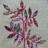 driftwood_daisy's profile image