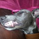 Mark Bate - @markbate71 - Twitter