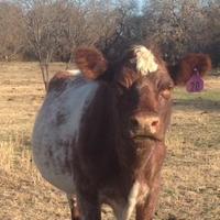 Keith Martin (@keithmartin62) 's Twitter Profile